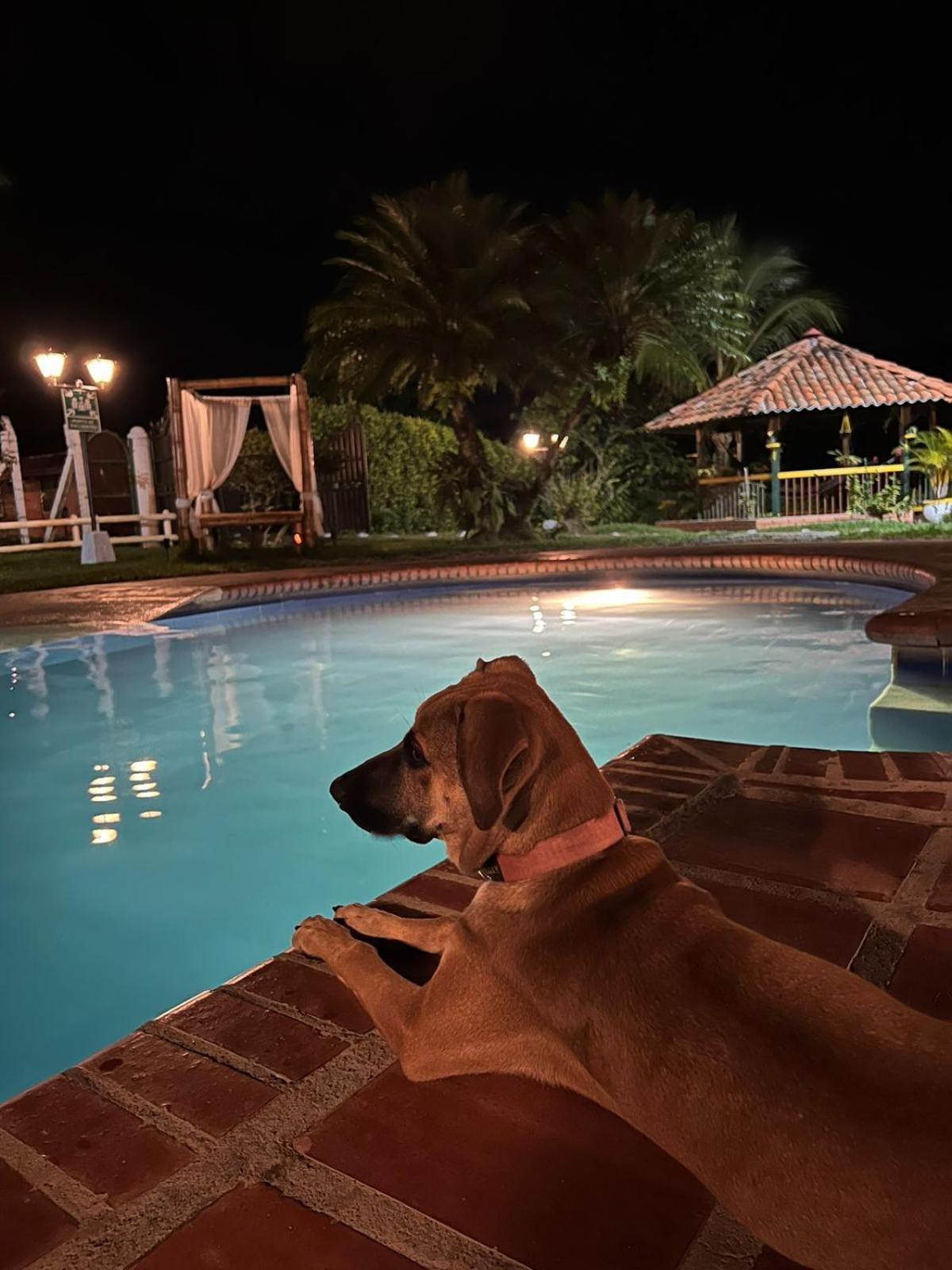 Casa Lemar Hotel Quimbaya Bagian luar foto